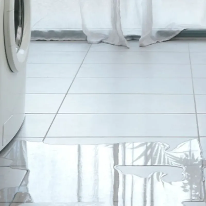 Appliance Leak Cleanup in Ortonville, MI
