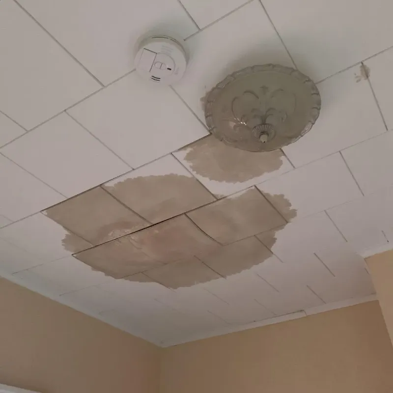 Ceiling Water Damage Repair in Ortonville, MI