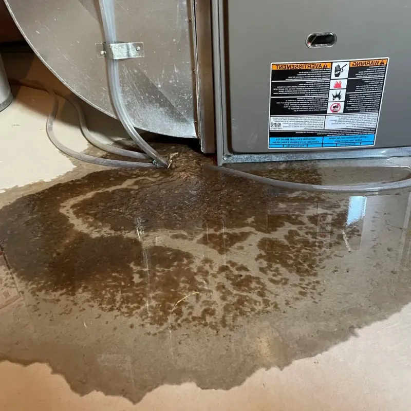 Pipe Burst and Leak Restoration in Ortonville, MI