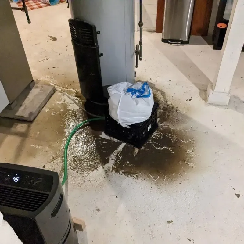 Sewage Backup Cleanup Service in Ortonville, MI